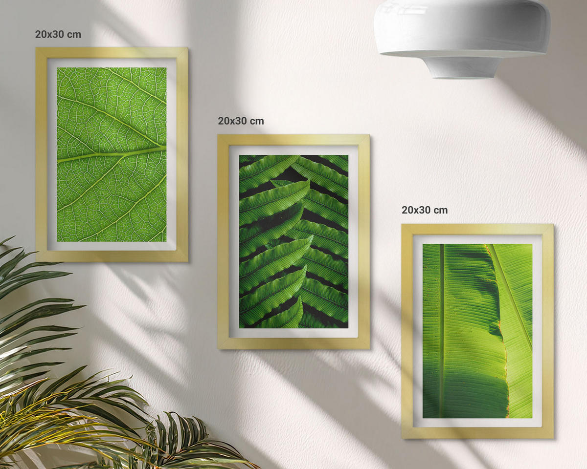 BILDER SET 3er Set - 20x30 cm Goldrahmen - Makrofotografie von tropischen Blättern - Goldfarben, Kunststoff (20/30cm) - TULUP