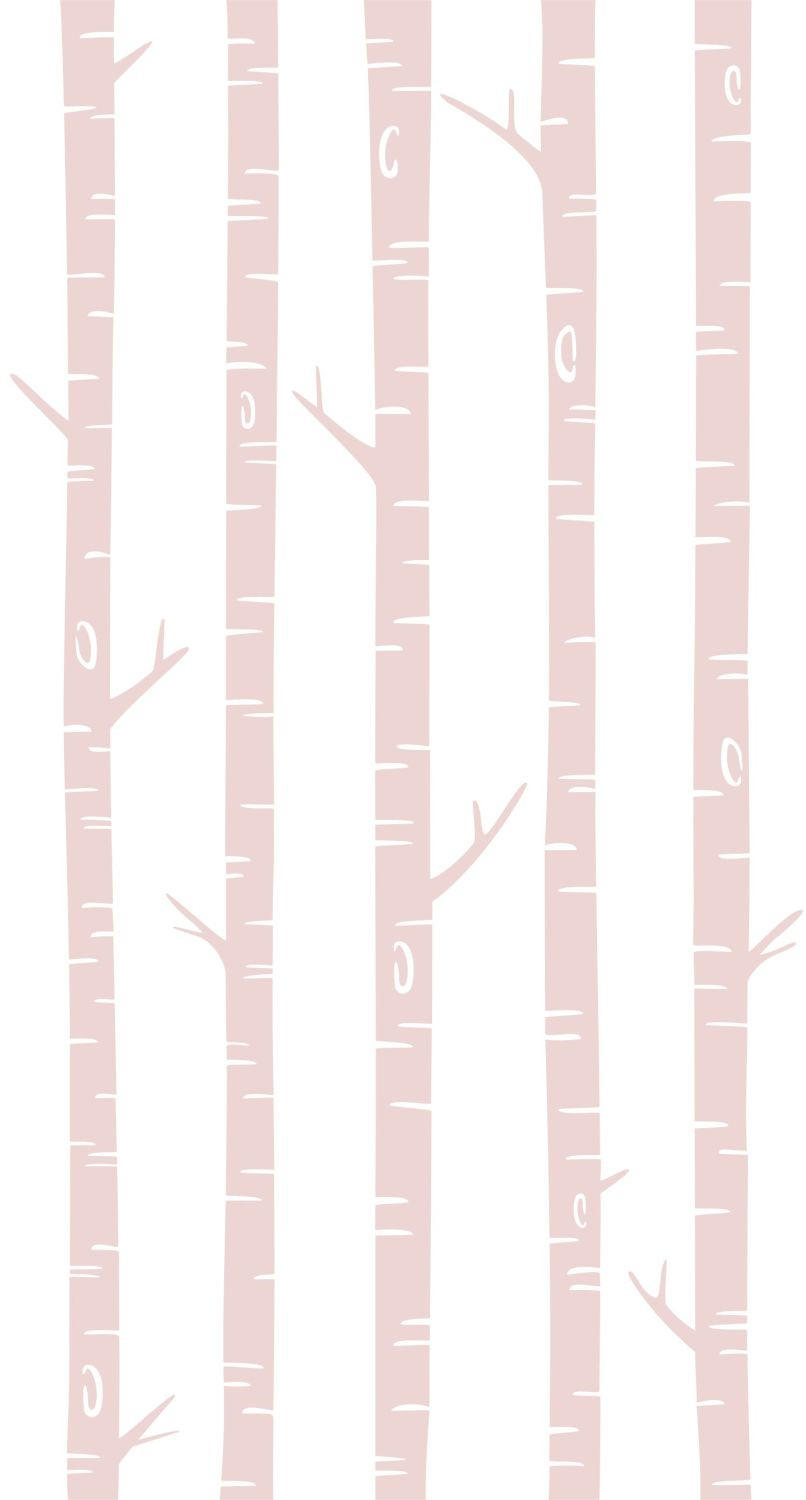 FOTOTAPETE Birkenstämme 150 x 279 cm - Pink, Papier (150/279cm) - ESTAhome