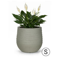 BLUMENTOPF Grau TERRA S 31x31x28 cm - Grau, Kunststoff (28cm) - Mazovia