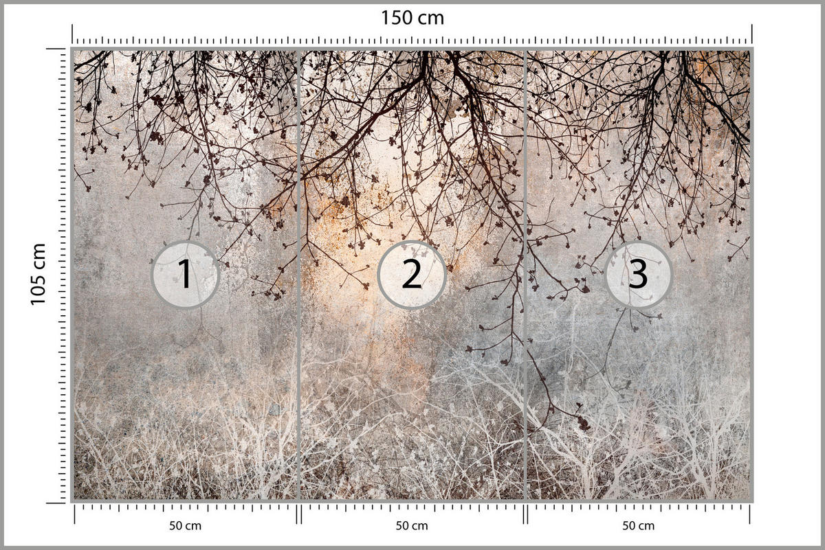 FOTOTAPETA Vetvy Betón Rastliny Abstrakcia 150 x 105 cm - oranžová/hnedá, papier (150/105cm) - Muralo