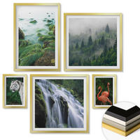 WANDBILDER 5er Set - 50x50 cm & 20x30 cm & 40x60 cm Goldrahmen - Tiger Wasserfall Flamingos Natur - Goldfarben, Kunststoff (40/60cm) - ArtPrintCave