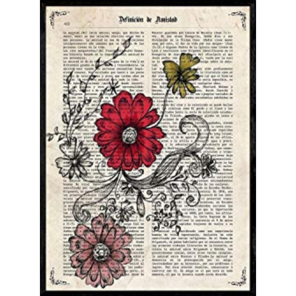 POSTER Von Roten Und Rosa Blumen. A4 Schwarzer Rahmen - Schwarz, Papier (29.7/5/21cm) - Nacnic