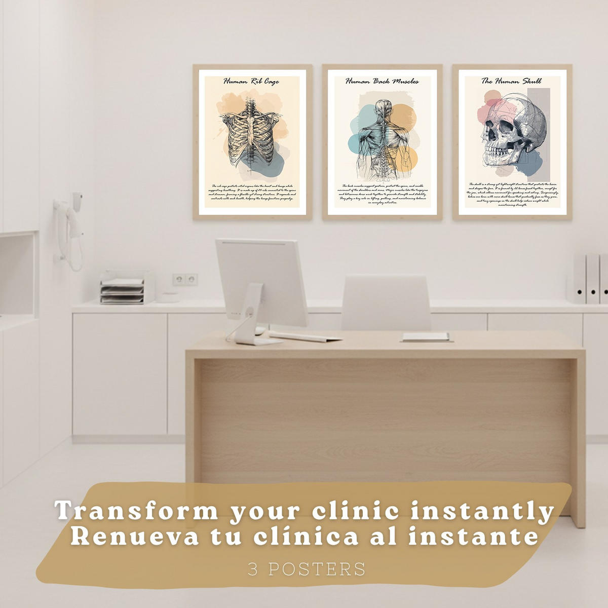POSTER Set aus 3 Anatomie Mensch Lernposter Drucke und Wandbilder mit Muskeln Rücken Brustkorb Schädel Medizinische Wanddekoration Größe Rahmenlos A3 - Klar, Papier (29.7/42/3cm) - Nacnic