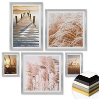 WANDBILDER 5er Set - 50x50 cm & 20x30 cm & 40x60 cm Silberner Rahmen - Boho-Grasfeld-Sonnenuntergang - Silberfarben, Kunststoff (40/60cm) - ArtPrintCave