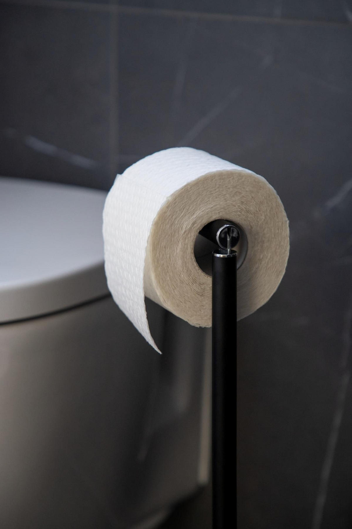 TOILETTENPAPIERSTÄNDER Metall 17/21/55 cm - Schwarz, Metall (21/55/17cm) - Wenko