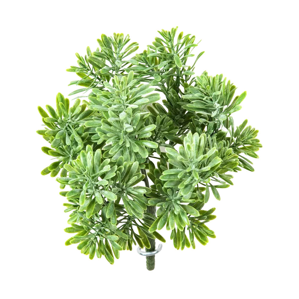KUNSTPFLANZE Künstliches Greiskraut - Henrike 18 cm - Grün, Kunststoff (18cm) - aplanta