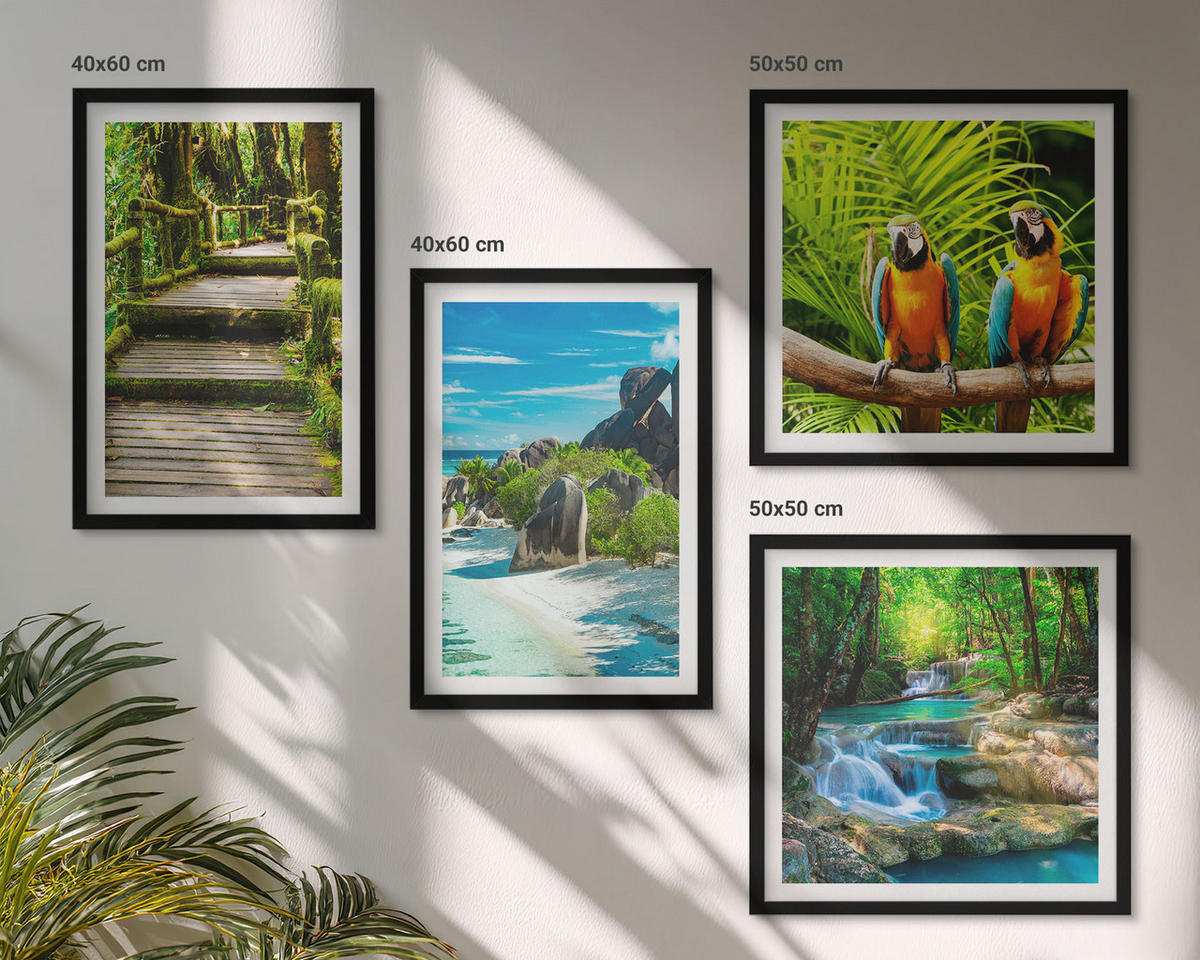 BILDER SET 4er Set - 50x50 cm & 40x60 cm Schwarzer Rahmen - Tropischer Wald Papageienwasserfall - Schwarz, Kunststoff (50/50cm) - TULUP