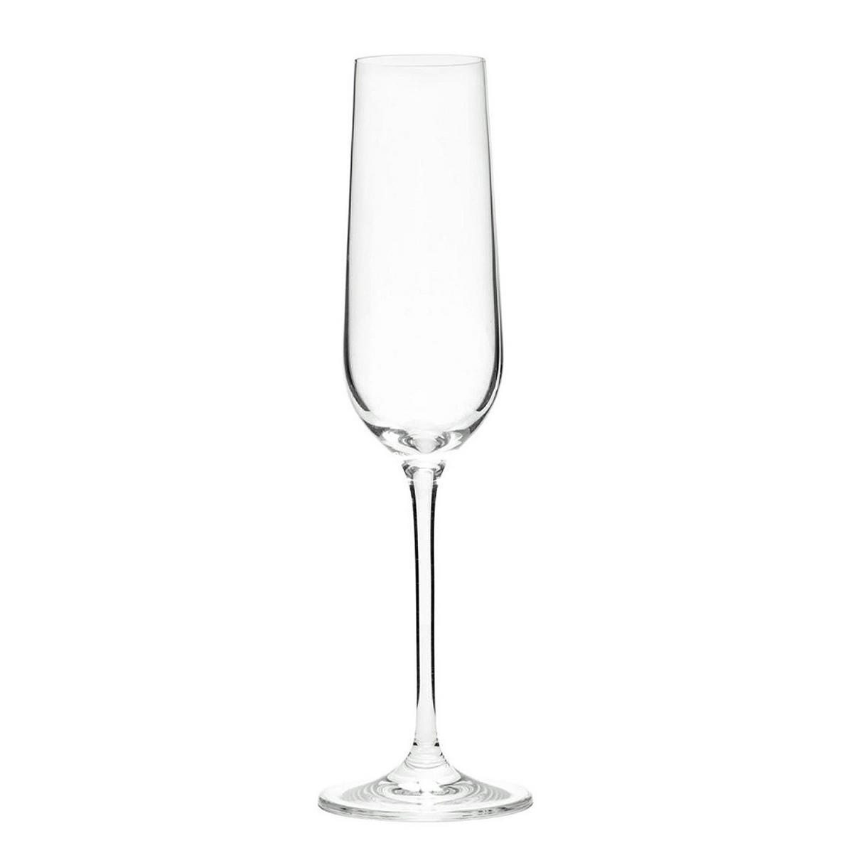 CHAMPAGNERFLÖTE (6er Set) Santè - Transparent, Glas (0.18L) - Butlers