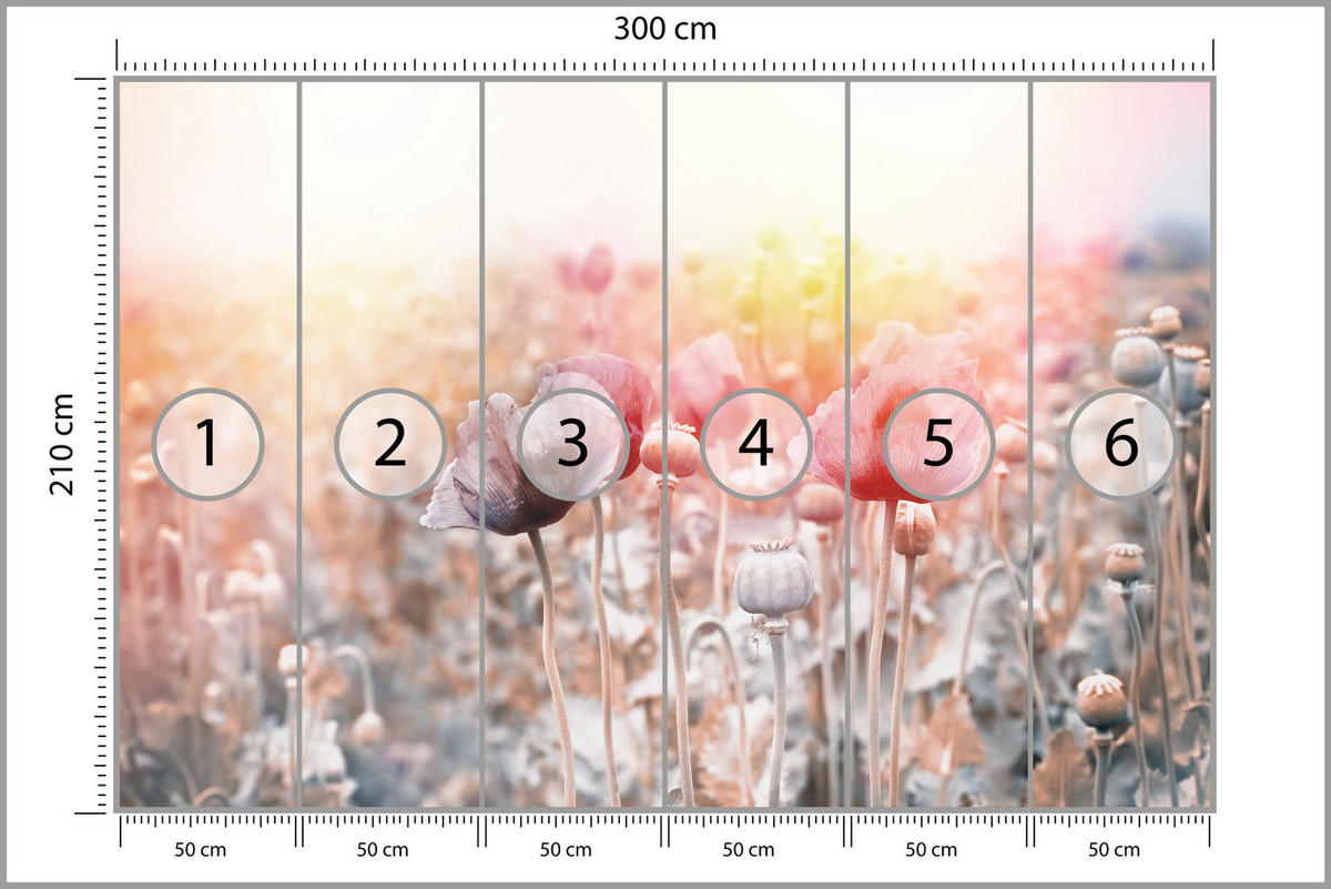 FOTOTAPETE für Wohnzimmer Mohnfeld Wiese Sonnenaufgang Natur 300x210 - Gelb/Rot, Papier (300/210cm) - Muralo