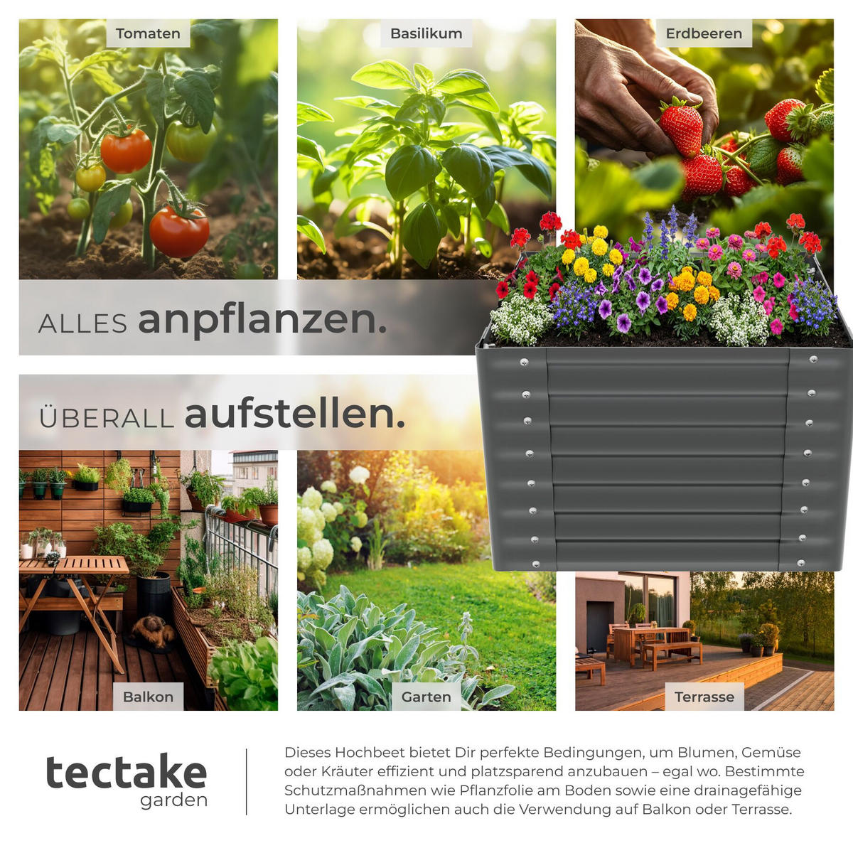 HOCHBEET Salvia, verzinkt, 80 x 80 x 62 cm, 380 l, inkl. Handschuhe, grau - Grau, Metall (80/62/80cm) - tectake