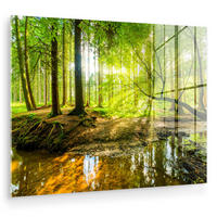 ACRYLGLASBILD Wald - Landschaft - Wasser - Bäume - Sonne - Grün - Natur 80x60 cm - Grün, Glas (80/60cm) - MuchoWow