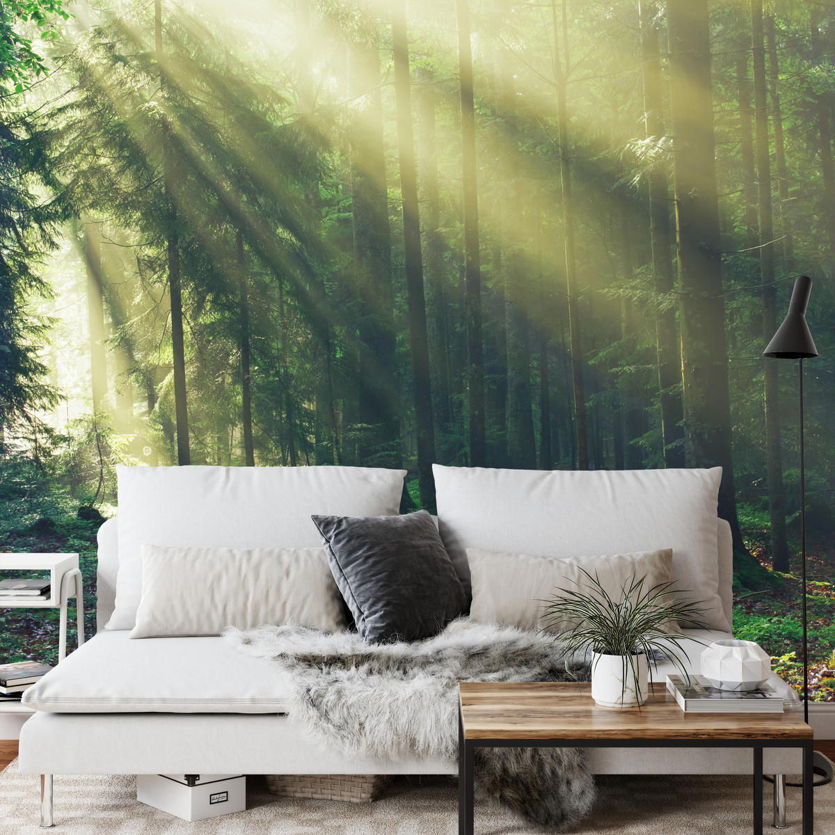 FOTOTAPETE für Schlafzimmer Sonnenaufgang Wald Bäume Moos 250x175 - Gelb/Braun, Papier (250/175cm) - Muralo