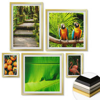 WANDBILDER 5er Set - 50x50 cm & 20x30 cm & 40x60 cm Goldrahmen - Fruchtige Akzente der Tropen - Goldfarben, Kunststoff (40/60cm) - ArtPrintCave