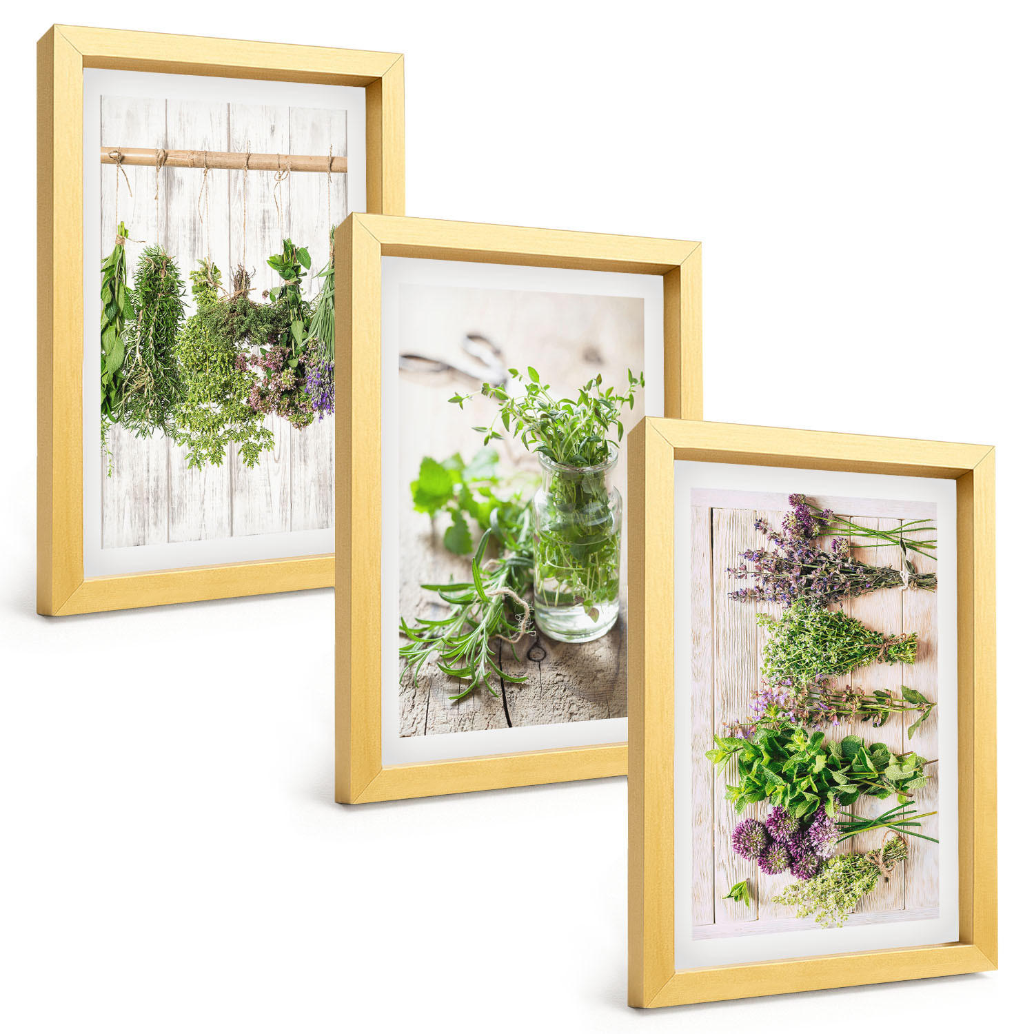 BILDER SET 3er Set - 20x30 cm Goldrahmen - Kräuterpflanzen für die Küche - Goldfarben, Kunststoff (20/30cm) - TULUP