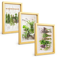 BILDER SET 3er Set - 20x30 cm Goldrahmen - Kräuterpflanzen für die Küche - Goldfarben, Kunststoff (20/30cm) - TULUP