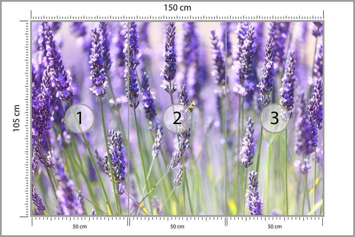 FOTOTAPETA Pre Kuchyňu Levanduľová Lúka Kvety Bylinky 150 x 105 cm - zelená/fialová, papier (150/105cm) - Muralo