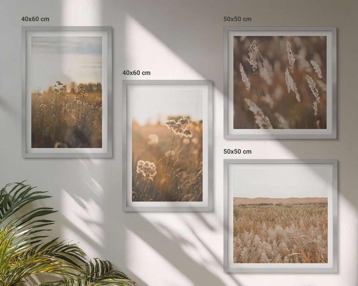 BILDER SET 4er Set - 50x50 cm & 40x60 cm Silberner Rahmen - Sommerwiesenblumen Sonnenuntergang - Silberfarben, Kunststoff (50/50cm) - TULUP