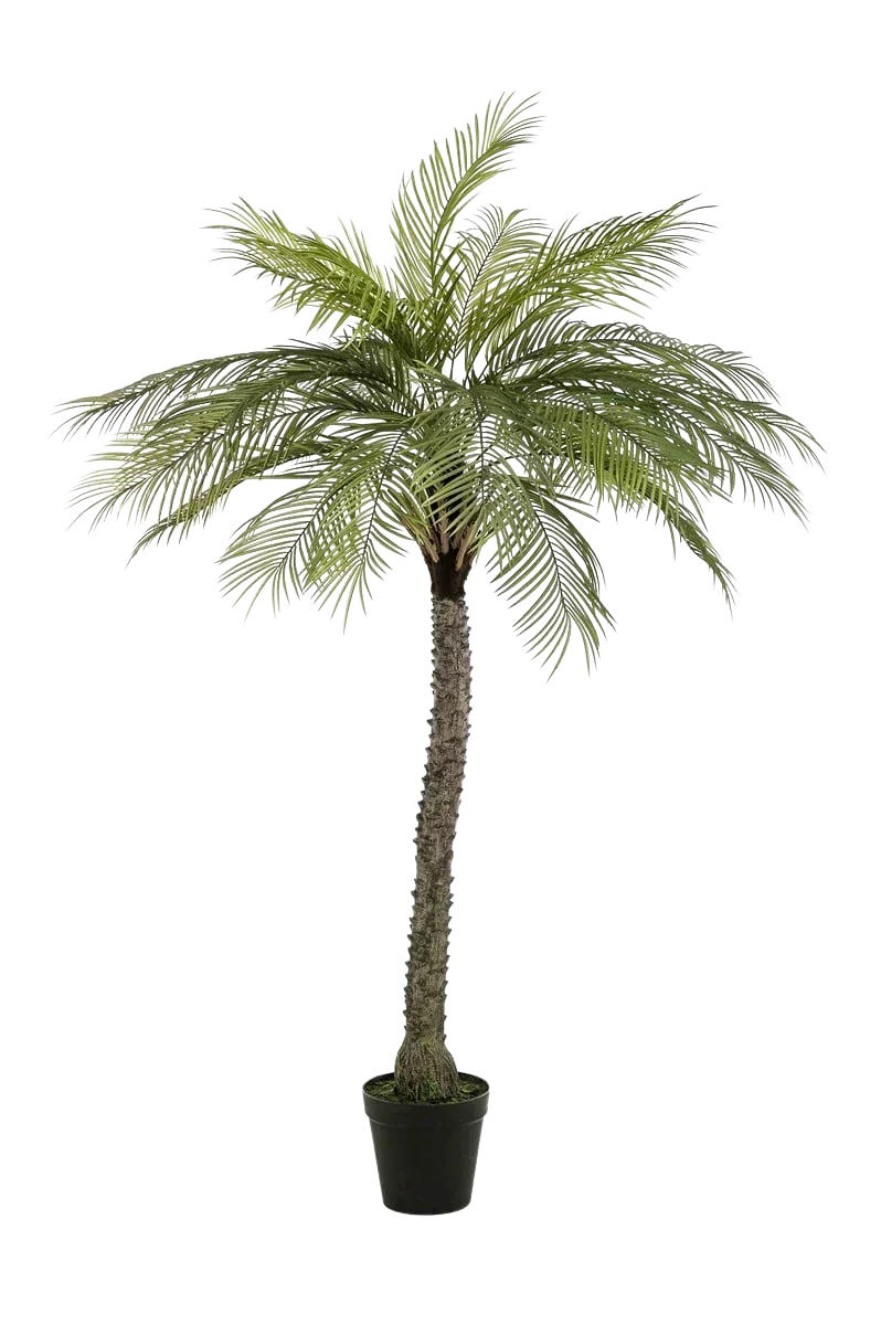 KUNSTBAUM Künstliche Phoenix Palme - Marun 220 cm - Grün, Kunststoff (220cm) - Emerald
