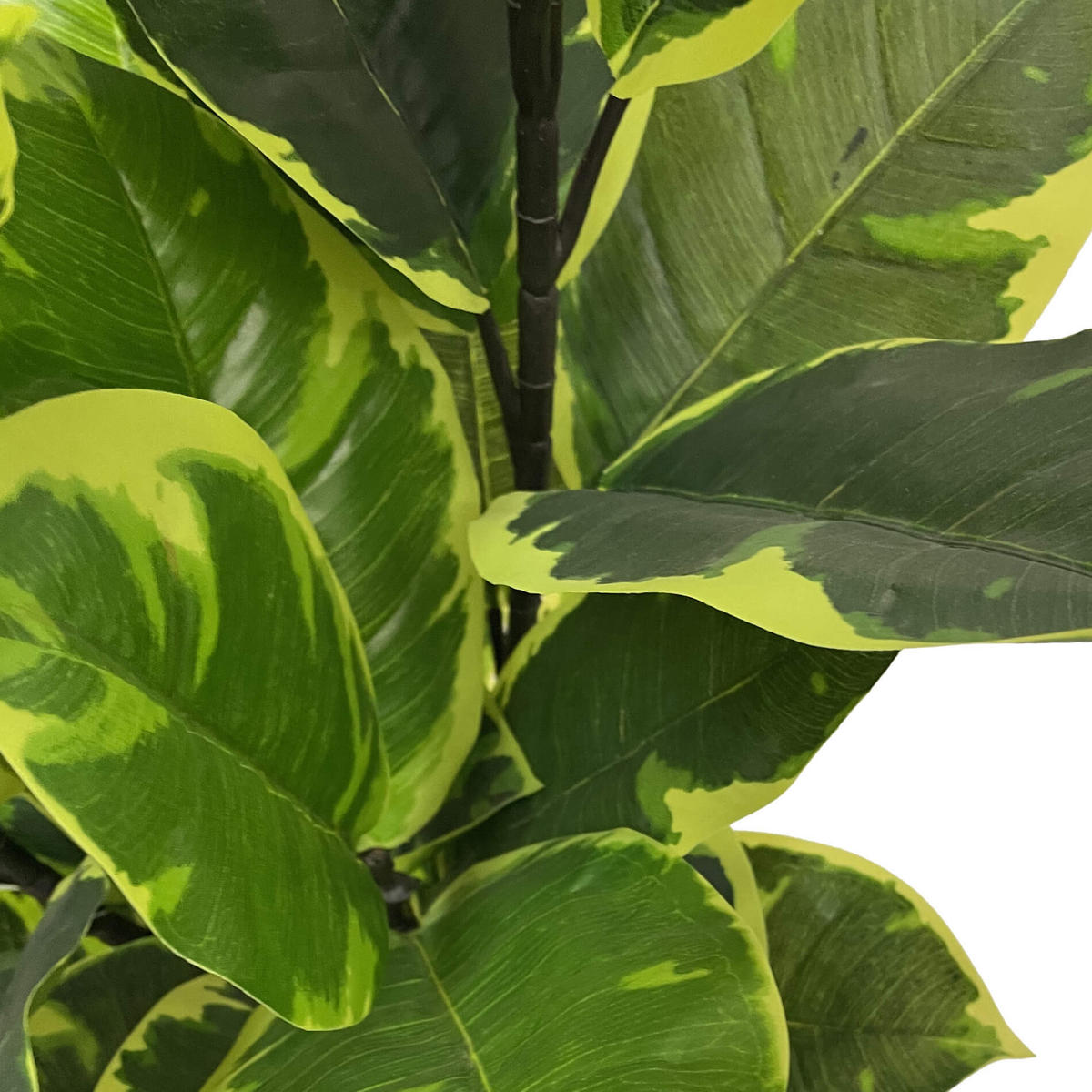 KUNSTPFLANZE Indischer Feigenbaum 90 cm - Grün, Kunststoff (90cm)