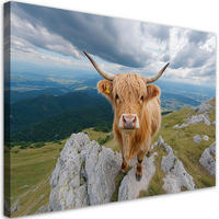 WANDBILD schottische highland cow rock mountains - Braun, Textil (60/40cm) - Feeby