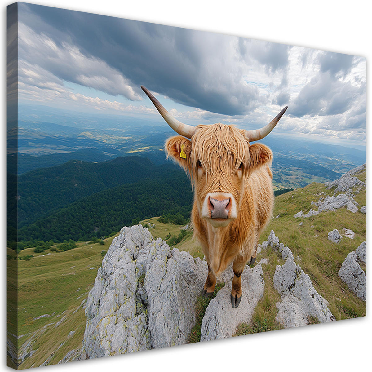 WANDBILD schottische highland cow rock mountains - Braun, Textil (60/40cm) - Feeby