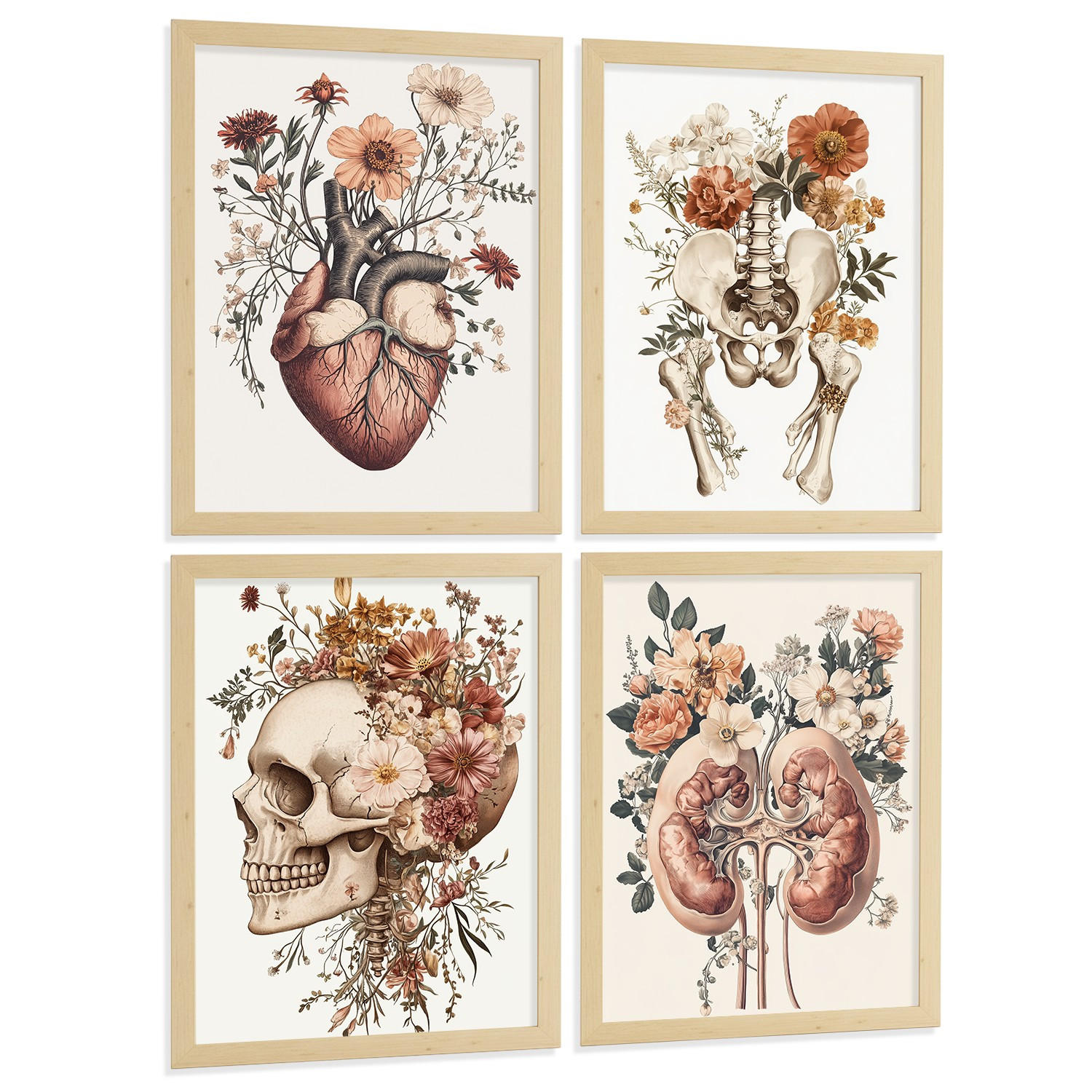 POSTER Set aus 4 Anatomie Drucke und Wandbilder mit Herz Nieren Schädel und Becken Botanischer Stil Medizinische Wanddekoration Größe Rahmenlos A4 - Klar, Papier (21/29.7/3cm) - Nacnic