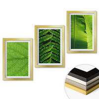 WANDBILDER 3er Set - 20x30 cm Goldrahmen - Makrofotografie von tropischen Blättern - Goldfarben, Kunststoff (20/30cm) - ArtPrintCave