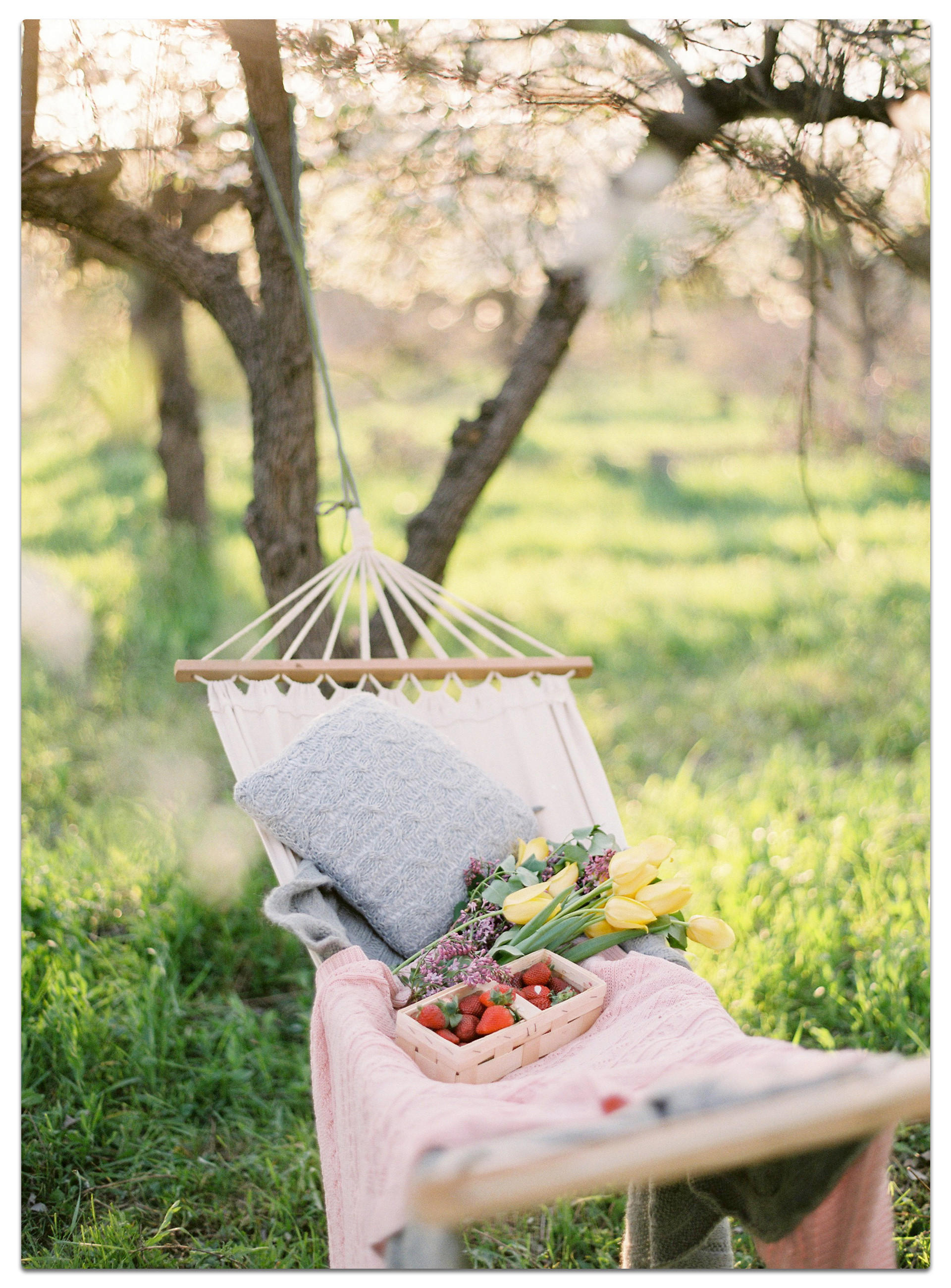 Gemütliche Hängematte im Garten, perfekt für entspannte Picknickmomente.
