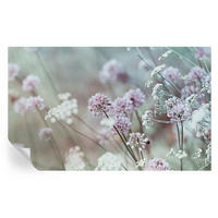 FOTOTAPETE 416x254 cm - Wildblumen - Weiß, Textil (416/254cm) - Wallfluent