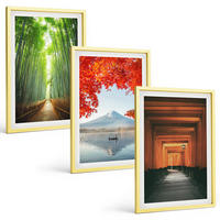BILDER SET 3er Set - 40x60 cm Goldrahmen - Fuji-Bambuswaldlandschaft - Goldfarben, Kunststoff (40/60cm) - TULUP