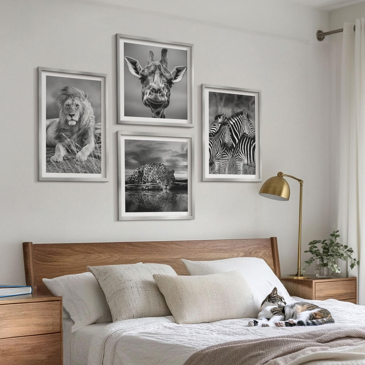 BILDER SET 4er Set - 50x50 cm & 40x60 cm Silberner Rahmen - Wildtiere Löwe Jaguar Giraffe Zebras - Silberfarben, Kunststoff (50/50cm) - TULUP