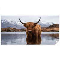 TAPETE - Schottischer Hochländer - Braun - Wasser - 400x200 cm - Braun, Papier (400/200cm) - OnlyWow