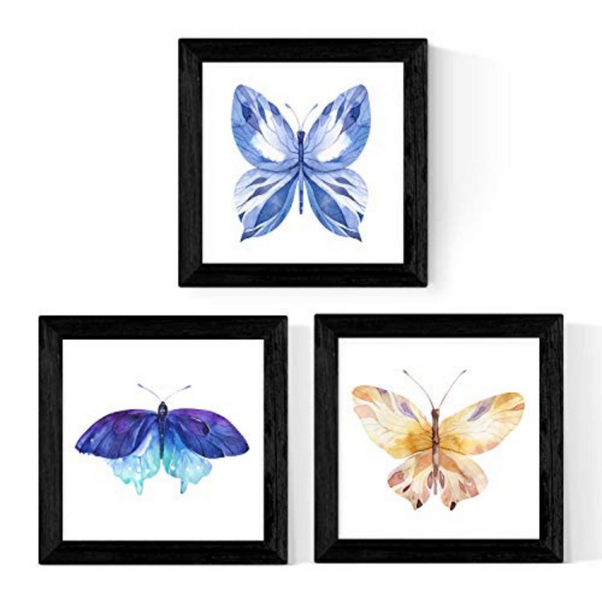 POSTER Set Mit 3 Schmetterlinge 25X25cm Schwarzer Rahmen - Schwarz, Papier (25/5/25cm) - Nacnic