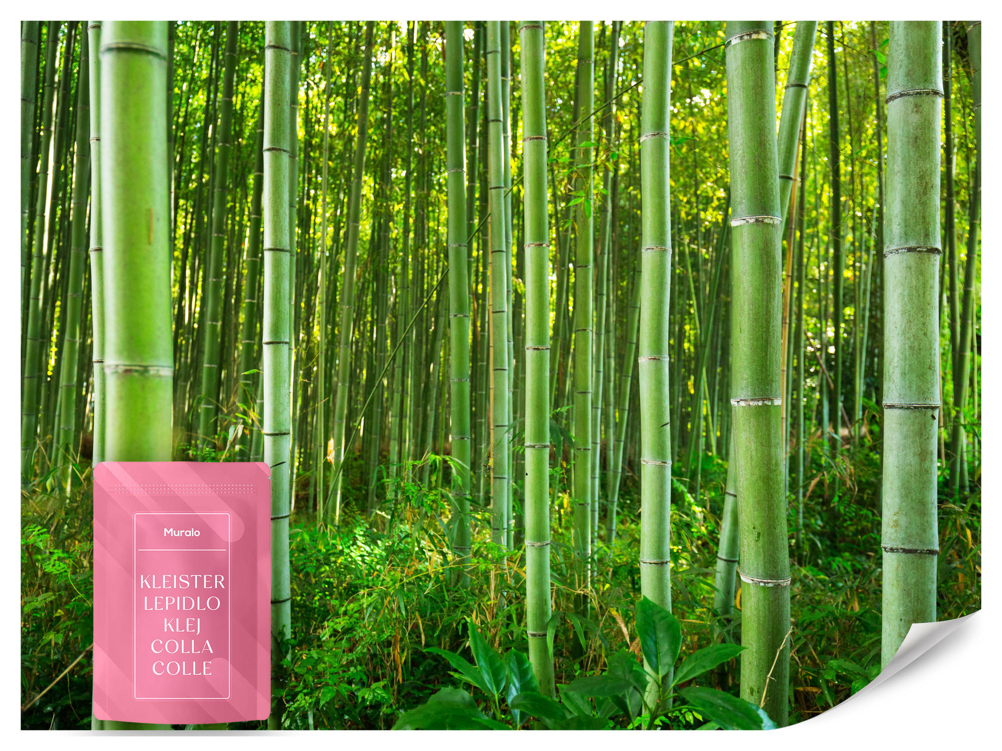 FOTOTAPETA Bambusový Les Rastliny Príroda 3D 150 x 105 cm - žltá/zelená, papier (150/105cm) - Muralo