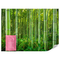 FOTOTAPETA Bambusový Les Rastliny Príroda 3D 150 x 105 cm - žltá/zelená, papier (150/105cm) - Muralo