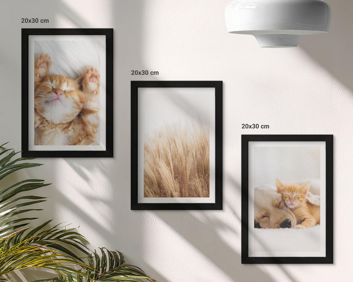 BILDER SET 3er Set - 20x30 cm Schwarzer Rahmen - Niedliche Tiere, Katzen, Hunde, Boho-Stil - Schwarz, Kunststoff (20/30cm) - TULUP