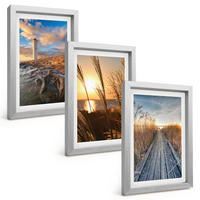 BILDER SET 3er Set - 20x30 cm Silberner Rahmen - Leuchtturm-Grassteg - Silberfarben, Kunststoff (20/30cm) - TULUP