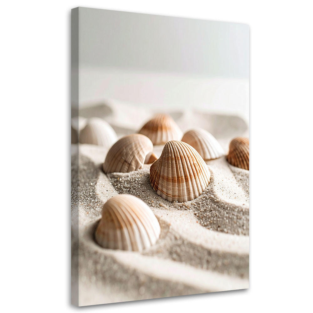 LEINWANDBILD Muscheln Strand Natur Boho 80x120cm - Beige, Textil (80/120cm) - Feeby