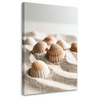 LEINWANDBILD Muscheln Strand Natur Boho 80x120cm - Beige, Textil (80/120cm) - Feeby