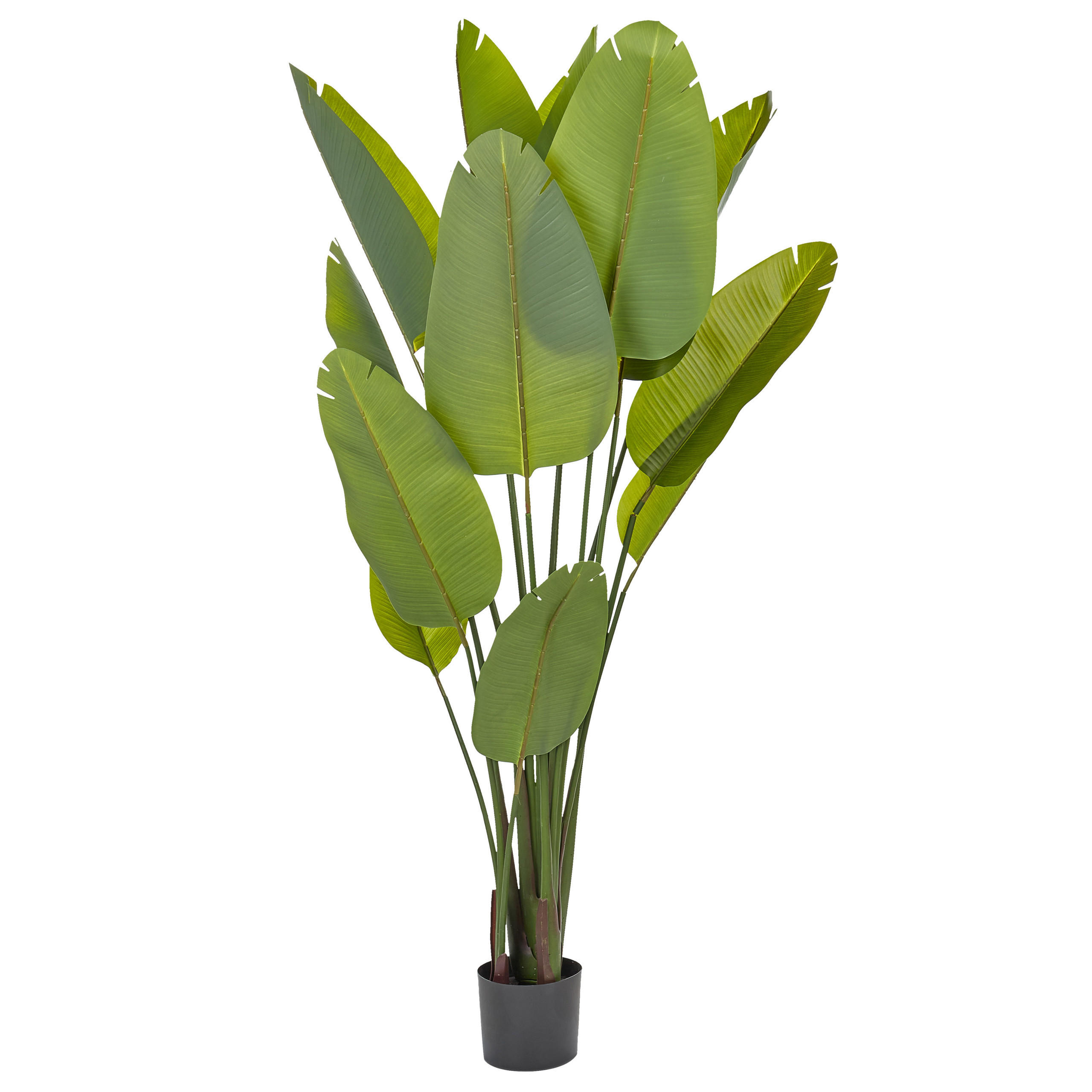 KUNSTPFLANZE im Blumentopf 187 cm Grün/Schwarz Banana Tree - Schwarz/Grün, Kunststoff (187cm) - Beliani