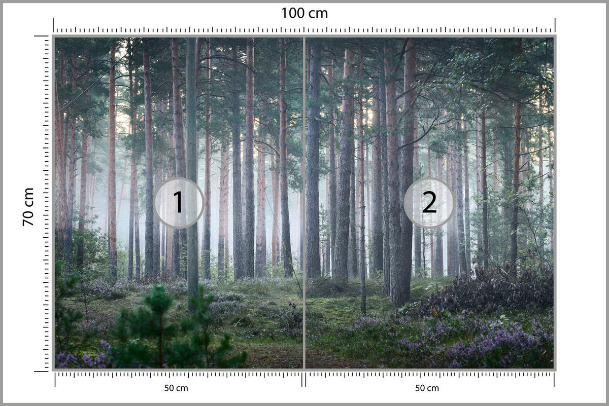 FOTOTAPETE für Wohnzimmer Nebelwald mit Bäumen Moos Grün 100x70 - Grau/Grün, Papier (100/70cm) - Muralo