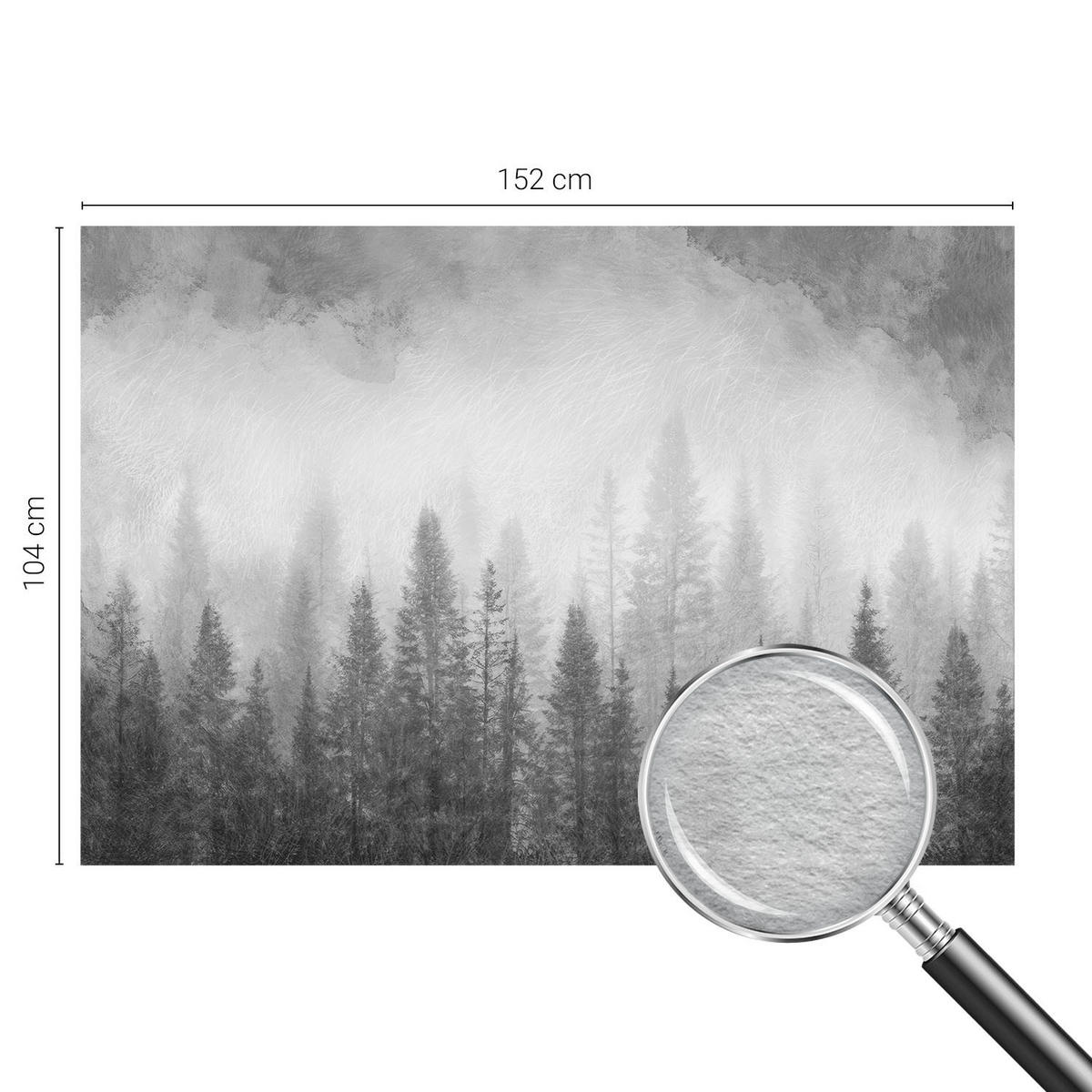 FOTOTAPETE 152x104 cm - Waldnebel - Grau, Textil (152/104cm) - Wallfluent