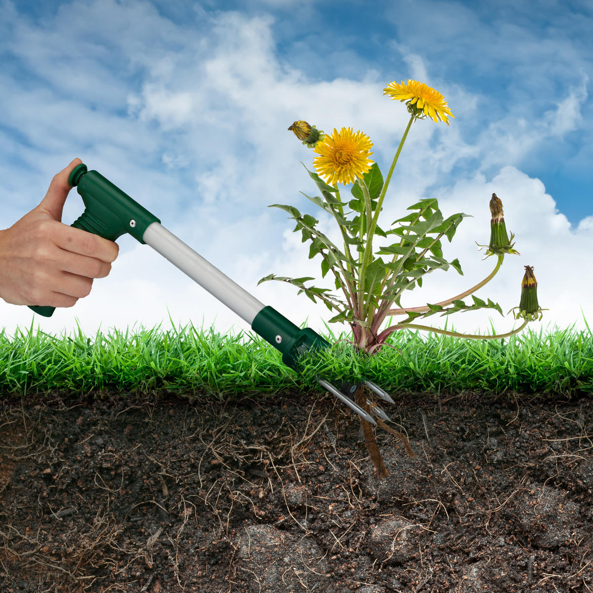 UNKRAUTSTECHER - Multicolor, Kunststoff/Metall (37/13/3.5cm) - Relaxdays