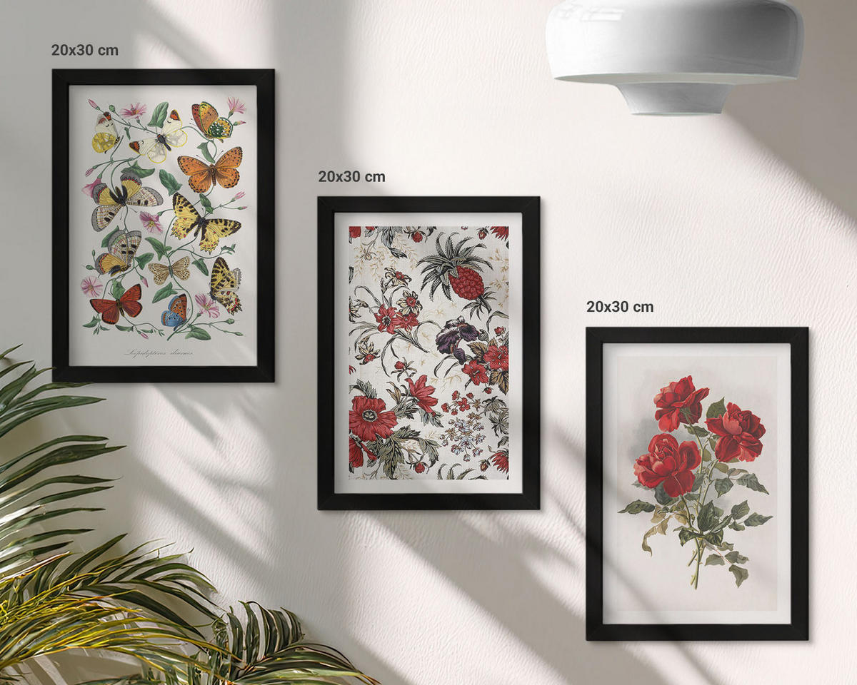 BILDER SET 3er Set - 20x30 cm Schwarzer Rahmen - Schmetterlinge, Blumen, rote Rosen - Schwarz, Kunststoff (20/30cm) - TULUP