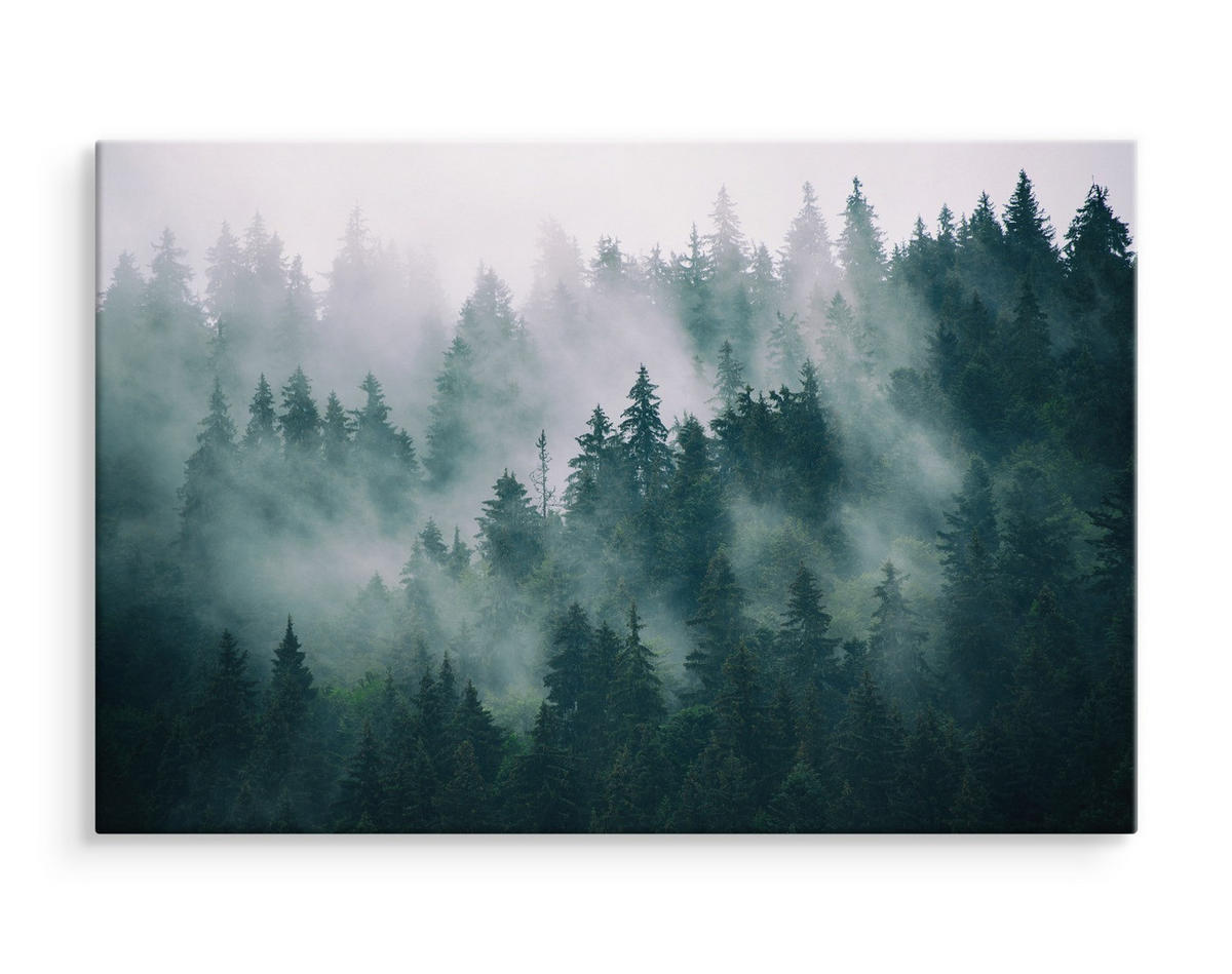 LEINWANDBILD Wald im Nebel Natur Landschaft 3D 100x70 - Schwarz/Weiß, Textil (100/70cm) - Muralo