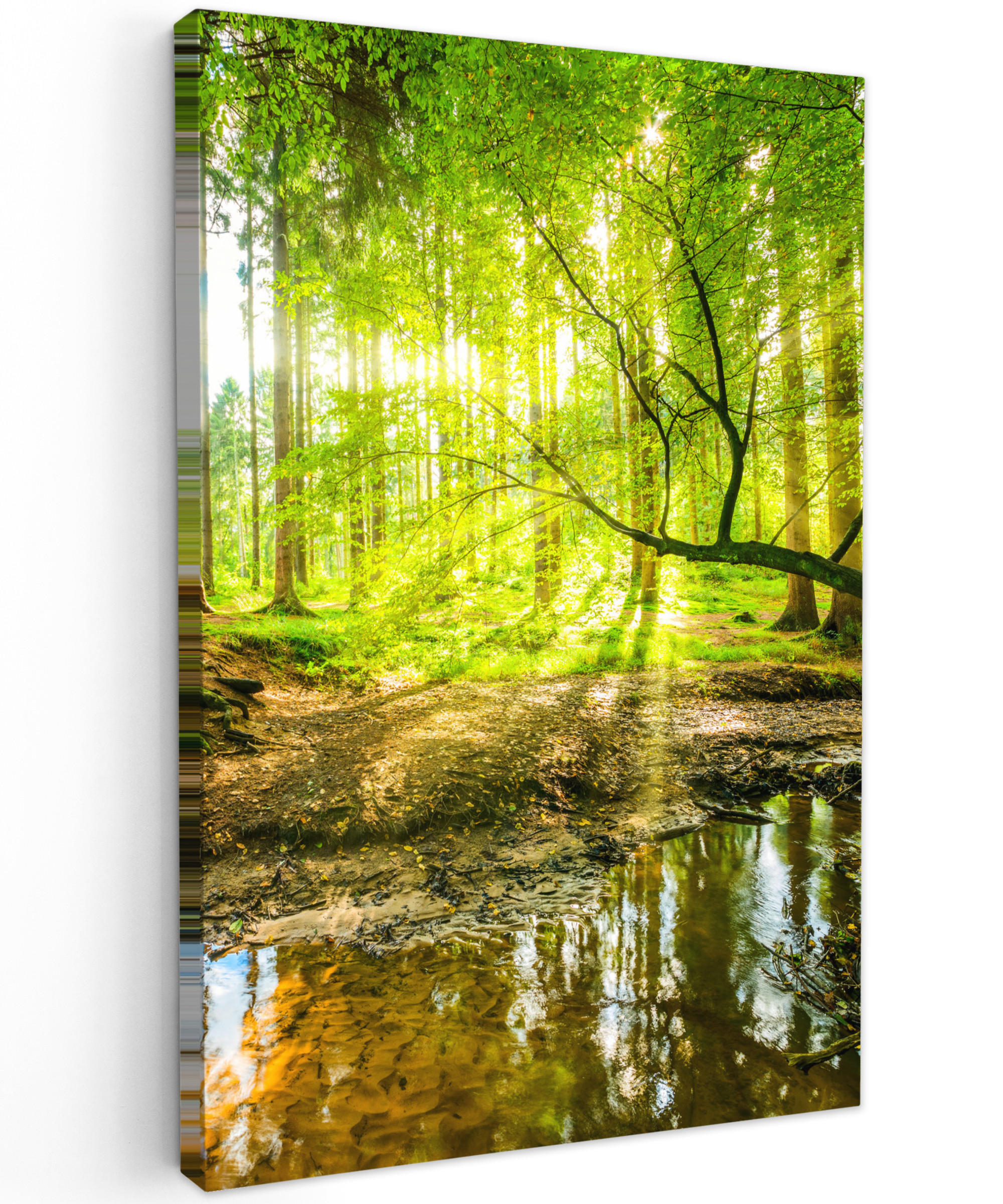 LEINWANDBILD Wald - Landschaft - Wasser - Bäume - Sonne - Grün - Natur 90x140 cm - Grün, Textil (90/140cm) - MuchoWow