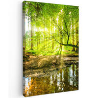 LEINWANDBILD Wald - Landschaft - Wasser - Bäume - Sonne - Grün - Natur 90x140 cm - Grün, Textil (90/140cm) - MuchoWow