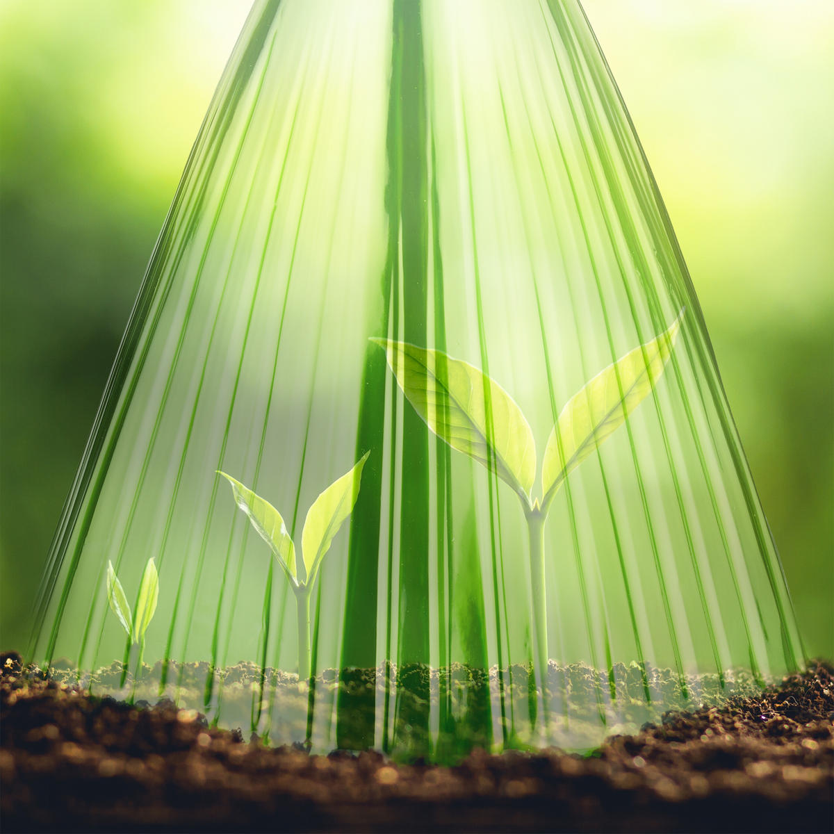 32XPFLANZENHUT - Grün, Kunststoff (19/22/19cm) - Relaxdays