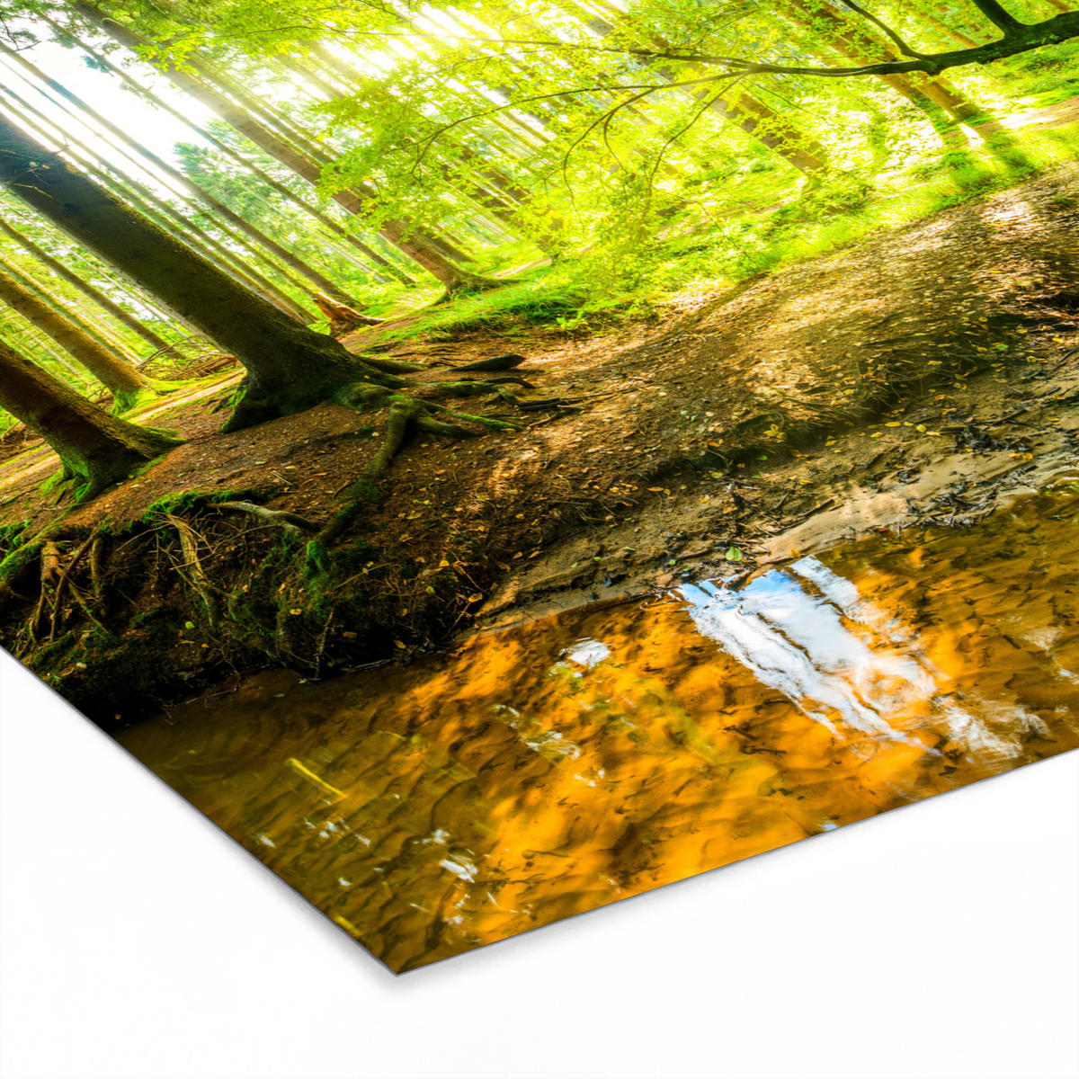 POSTER MIT RAHMENGERAHMTES BILD Wald - Landschaft - Wasser - Bäume - Sonne - Grün - Natur 40x40 cm - Grün, Papier (40/40cm) - MuchoWow