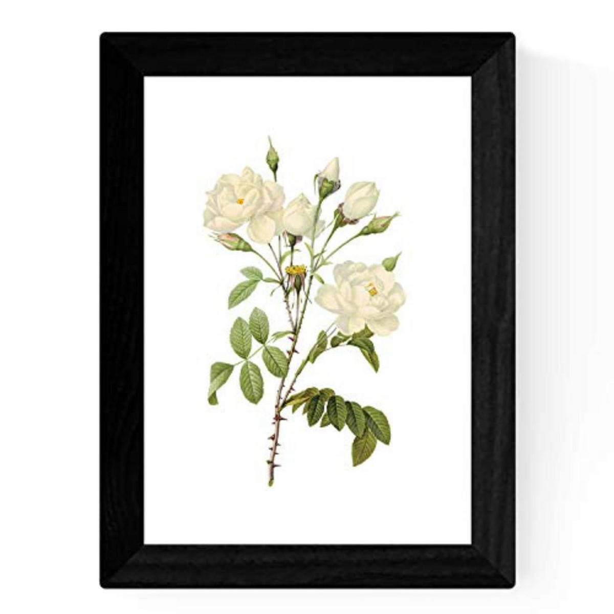 POSTER Set mit 4 Botanische Weiß Hintergrund helle Blumen A3 Rahmenlos - Klar, Papier (29.7/3cm) - Nacnic